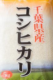 令和6年産千葉県勝浦産コシヒカリ 5kg